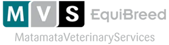 Waikato Veterinary Equine | Breeding Horses in NZ | MVS EquiBreed