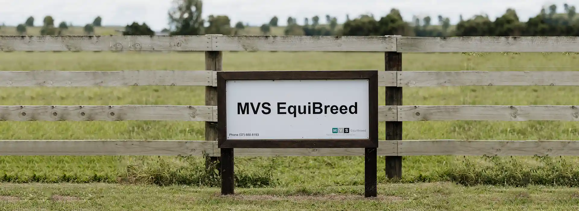 MVS EquiBreed